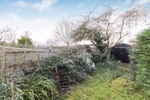 Back Garden- click for photo gallery